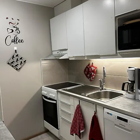 Apartment Homenest With Sauna And Warm Garage Rovaniemi