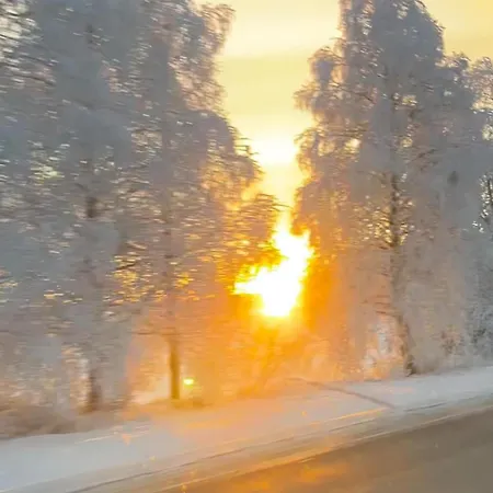 Homenest With Sauna And Warm Garage Lägenhet *