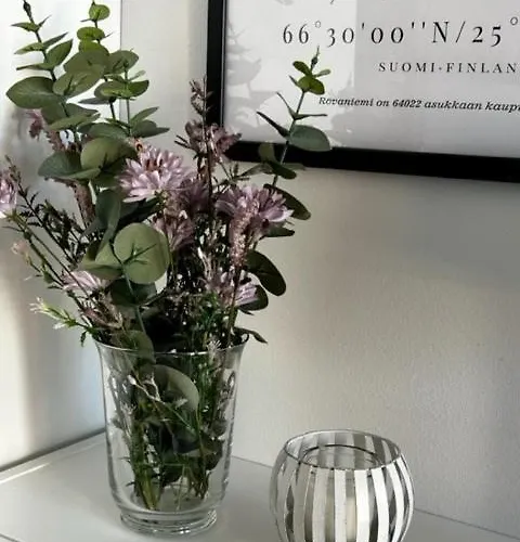 Homenest With Sauna And Warm Garage Ροβανιέμι