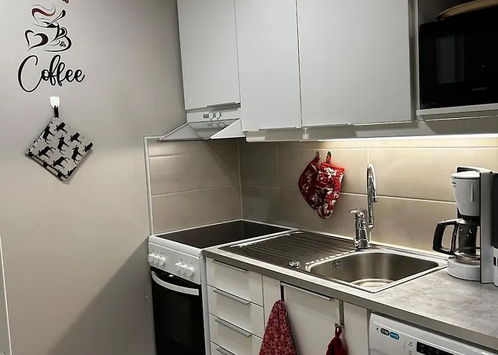 Lägenhet Homenest With Sauna And Warm Garage Rovaniemi