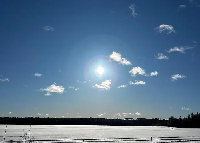 Homenest With Sauna And Warm Garage *