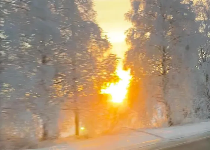 Homenest With Sauna And Warm Garage Lägenhet *